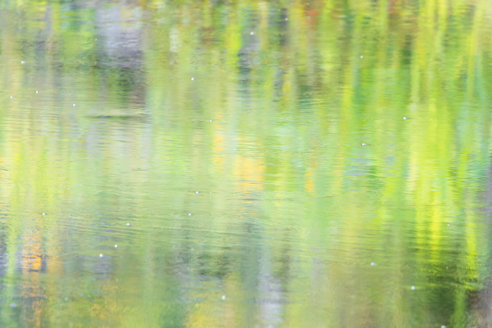 Pastel Reflection