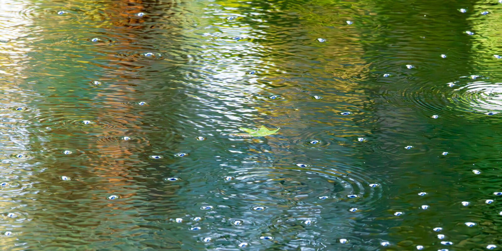 Weightless Ripples