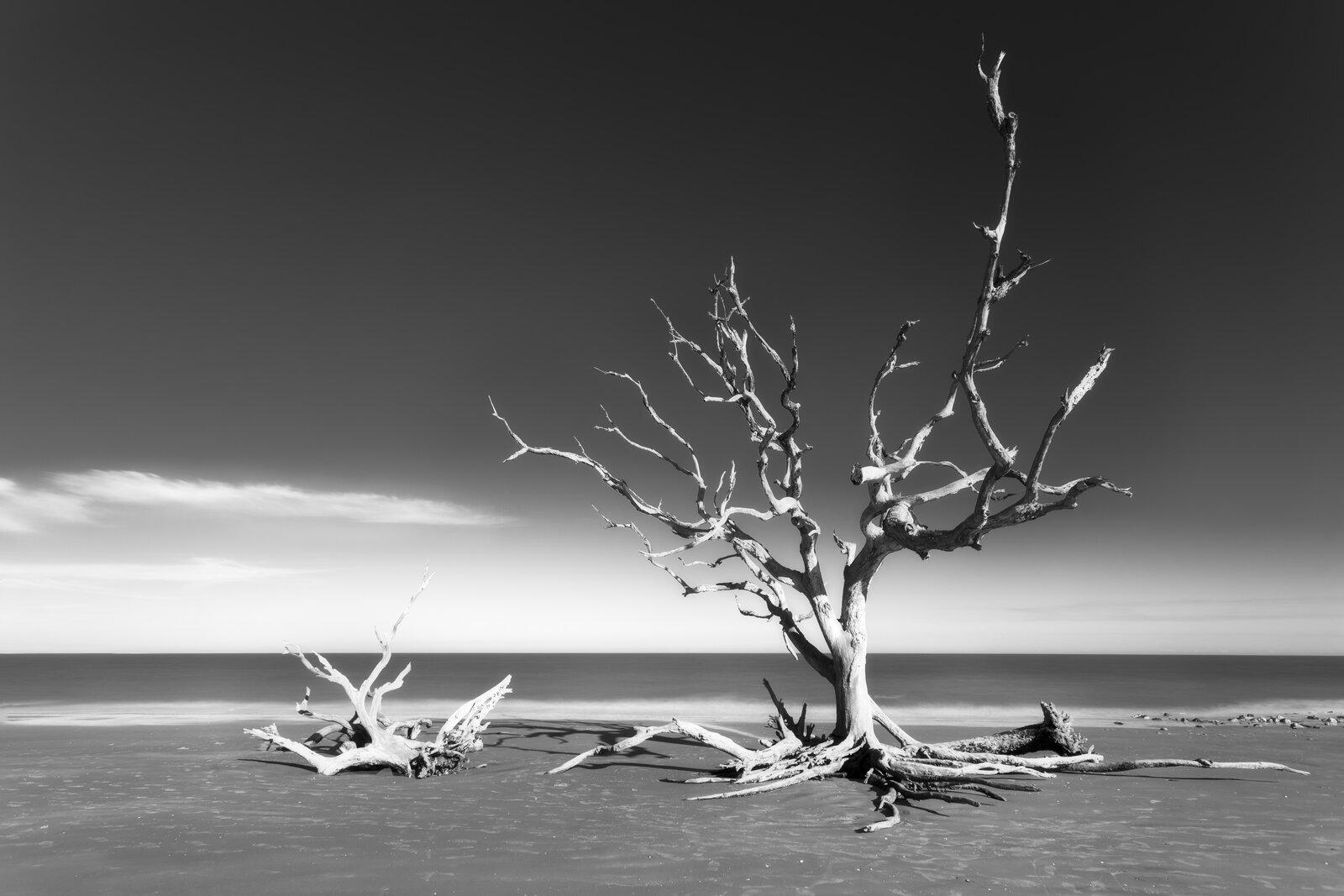 The Island