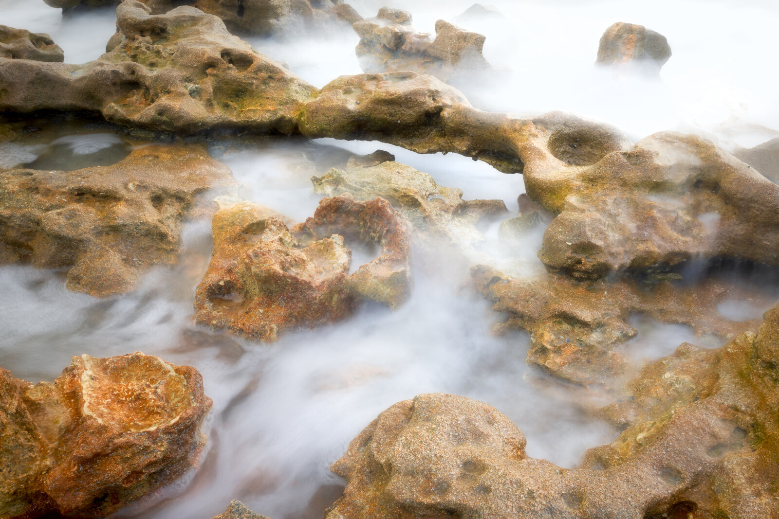 Close up view of limestone rocks at Blowing Rocks Preserve