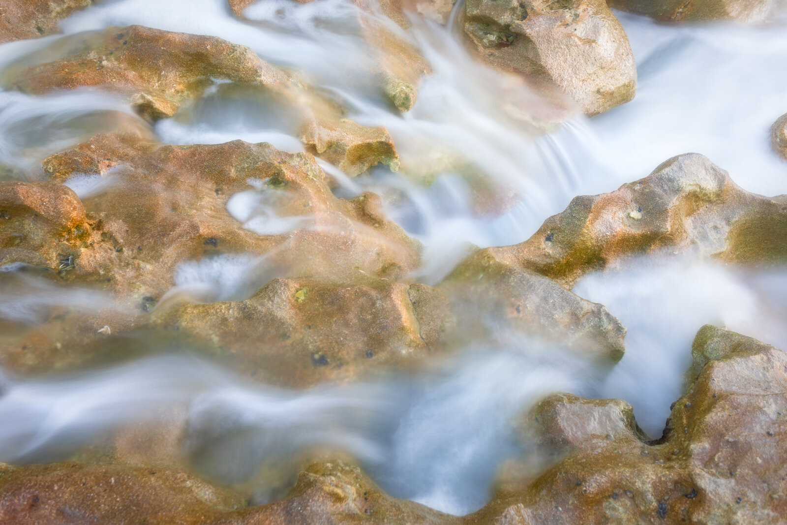 Close up view of limestone rocks at Blowing Rocks Preserve