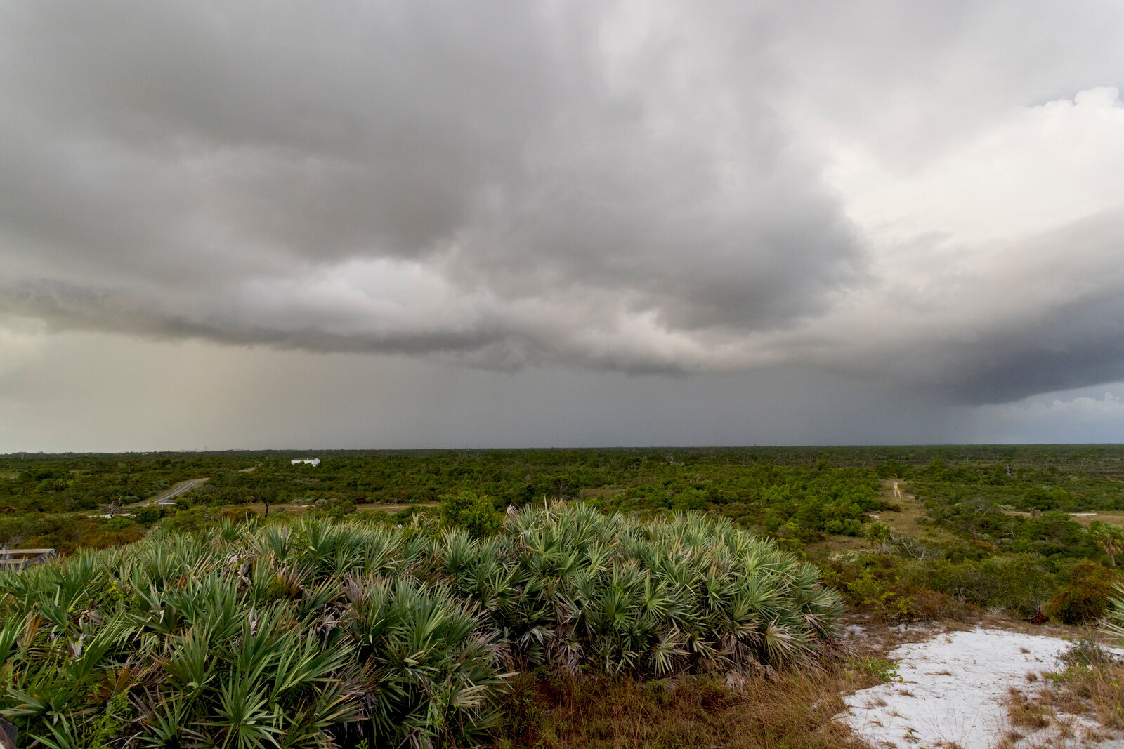 Incoming rain from a band of Hurricane Debby