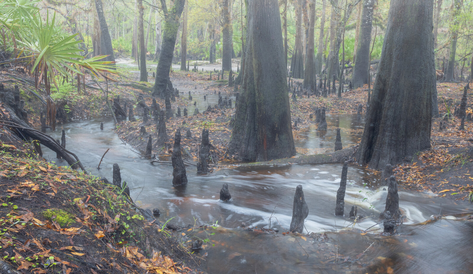 5 Best Photography Locations in Central Florida