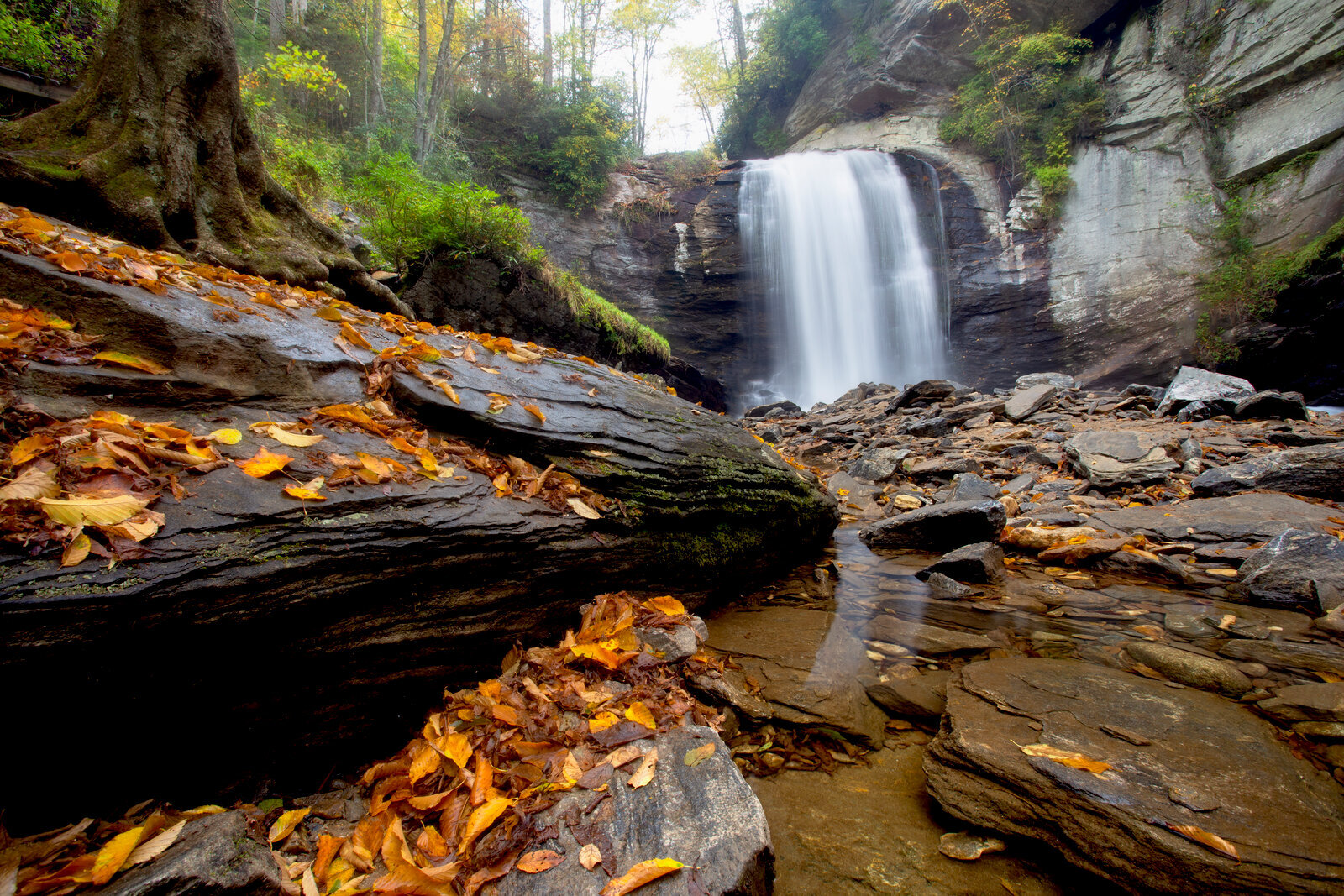 Looking Glass Falls framed by rocks and Appalachian forest