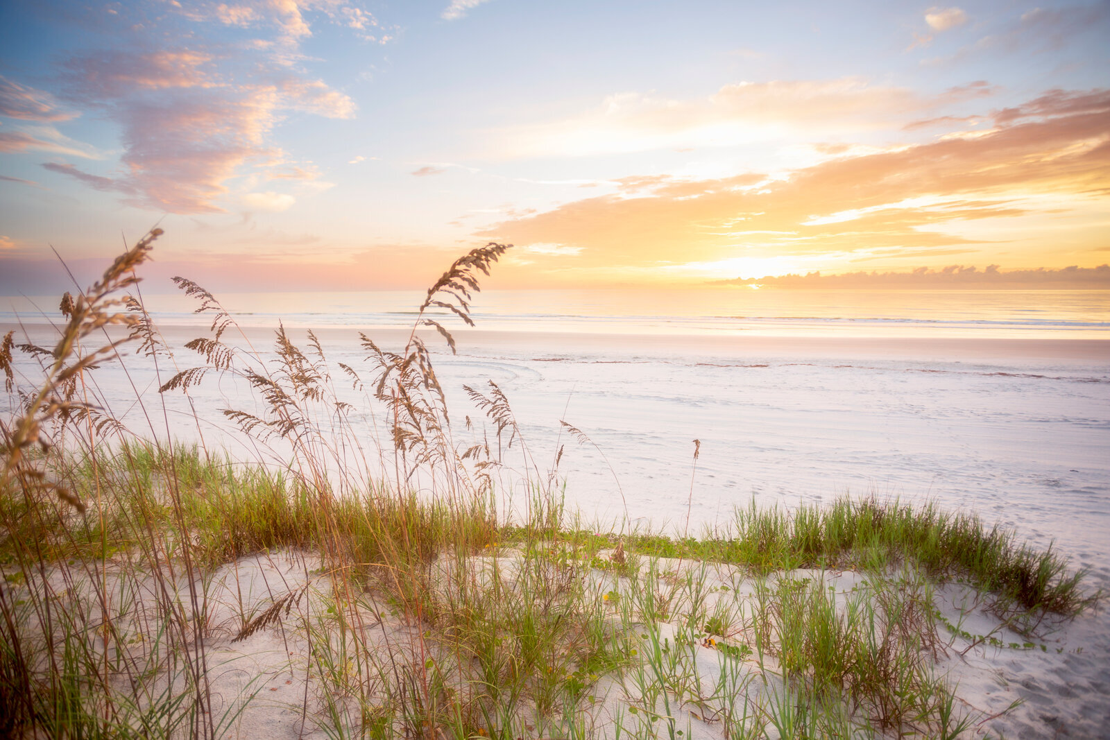 Seaoats Sunrise