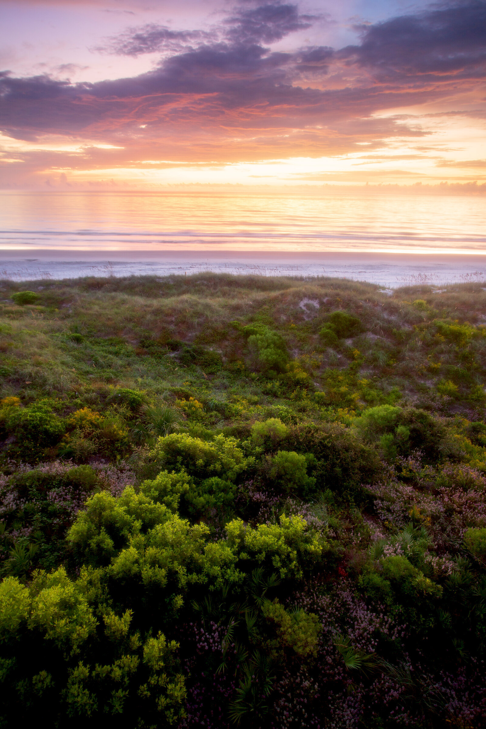 Morning From The Dunes