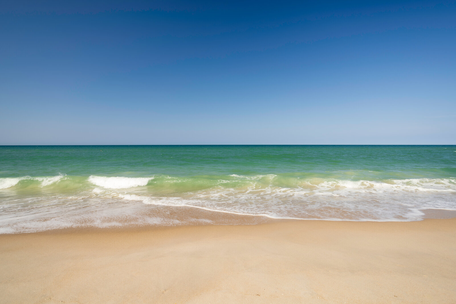 Vibrant emerald wave rolling in on the Florida Gulf Coast