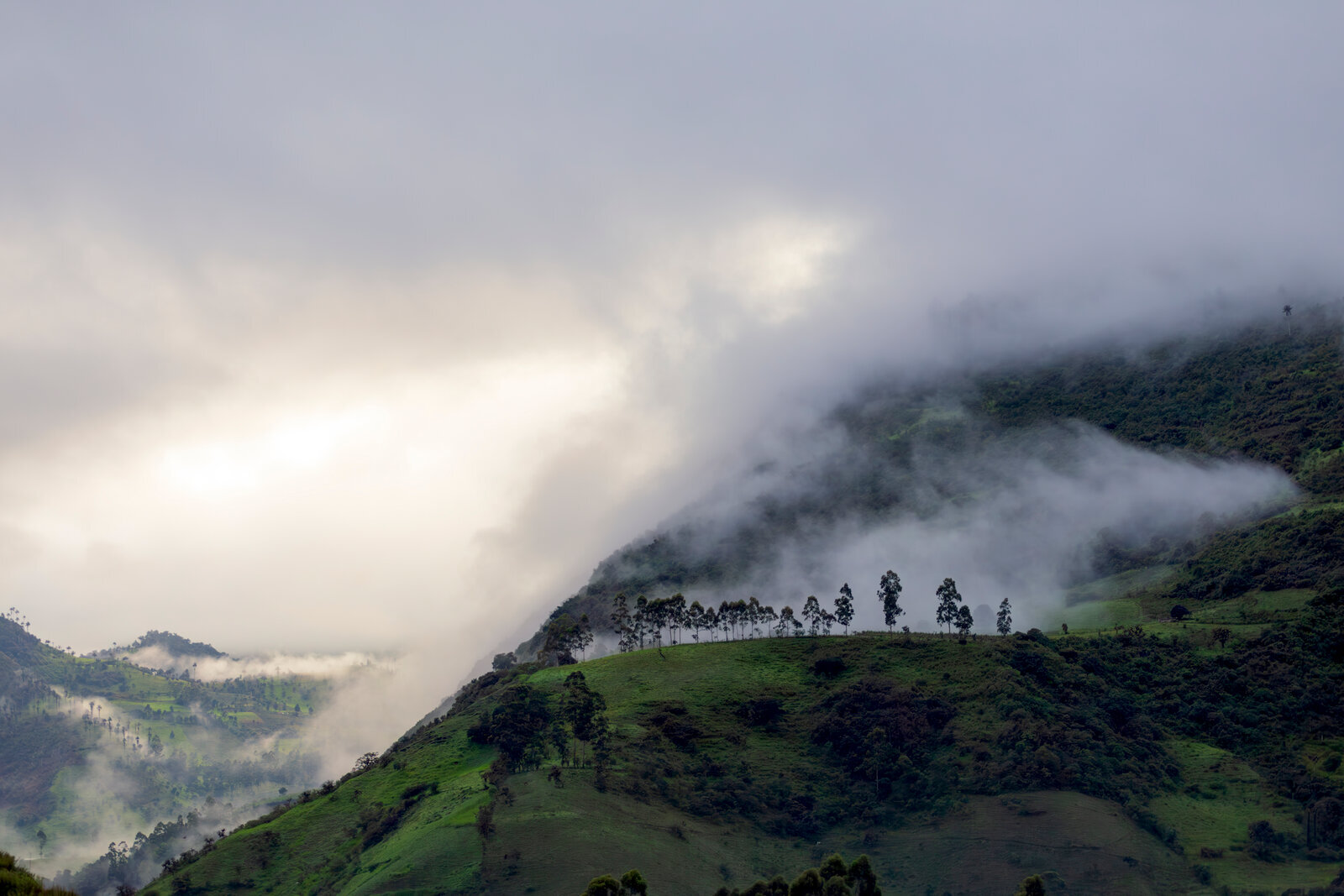 Fog and light rays streaming through Ecuador’s Andean cloud forest mountains