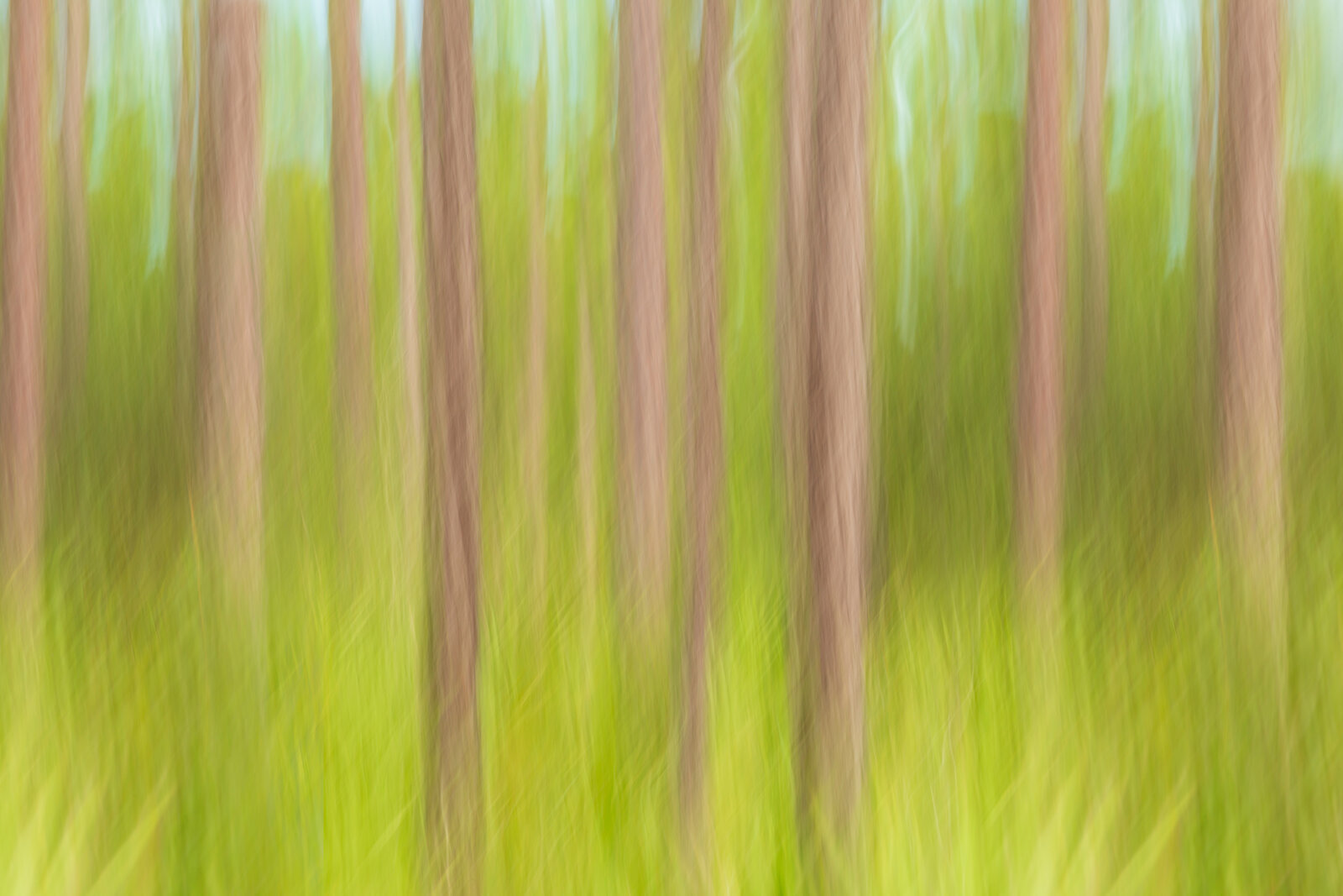 Abstract