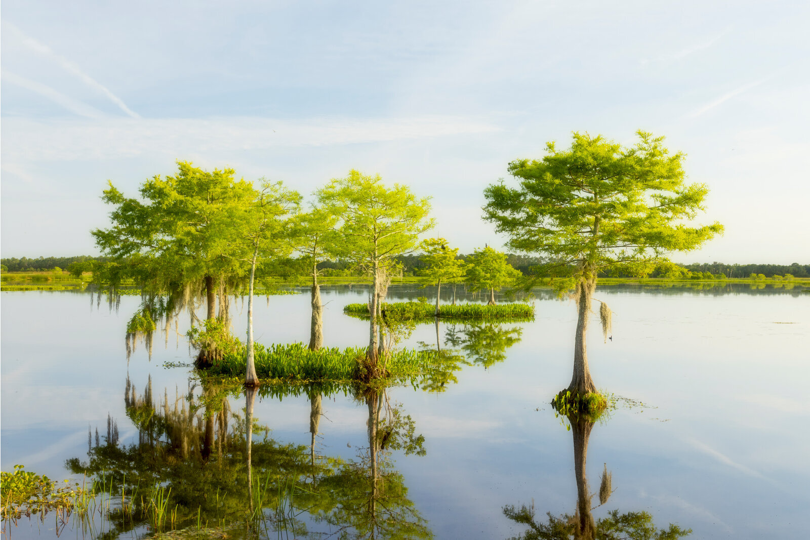 Florida Waters