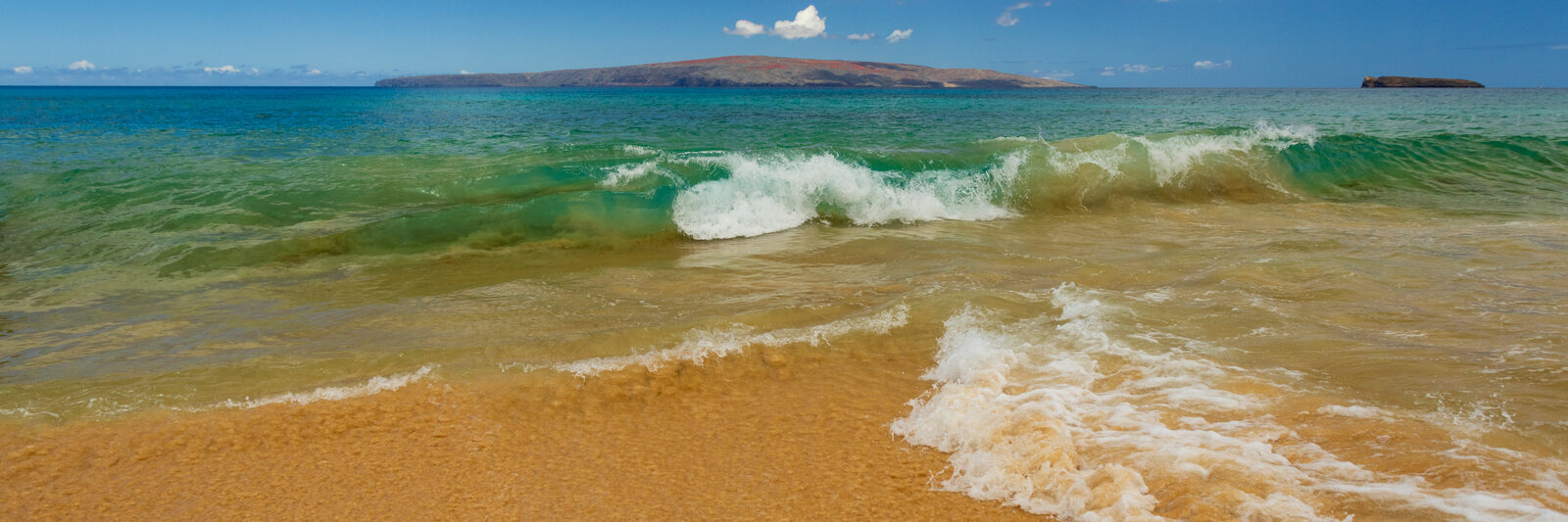 Maui Waves 3