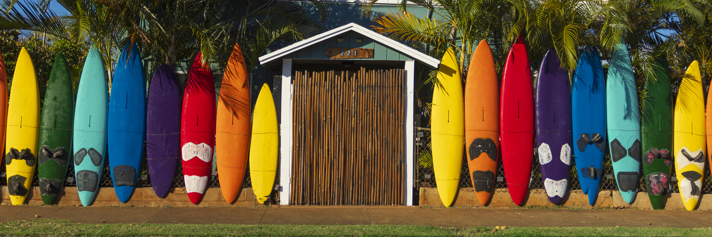 Colorful surfboards lined up in a fence along a Hawaiian roadside