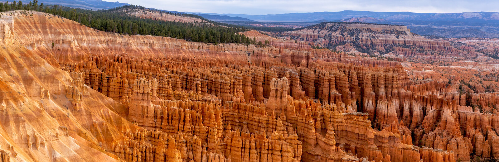 Panoramic view of hoodoos at Bryce Canyon during golden hour