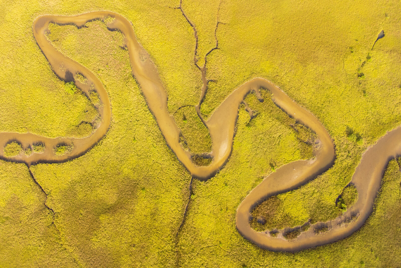 Aerial view of serpentine river delta against yellow-green landscape
