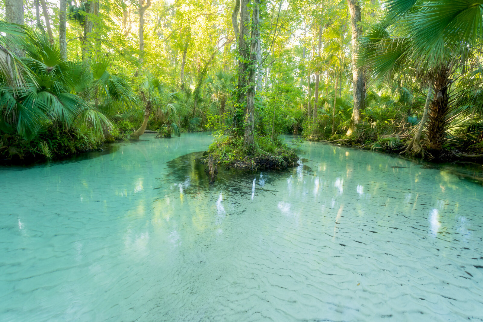 Freshwater spring with turquoise water and natural detail