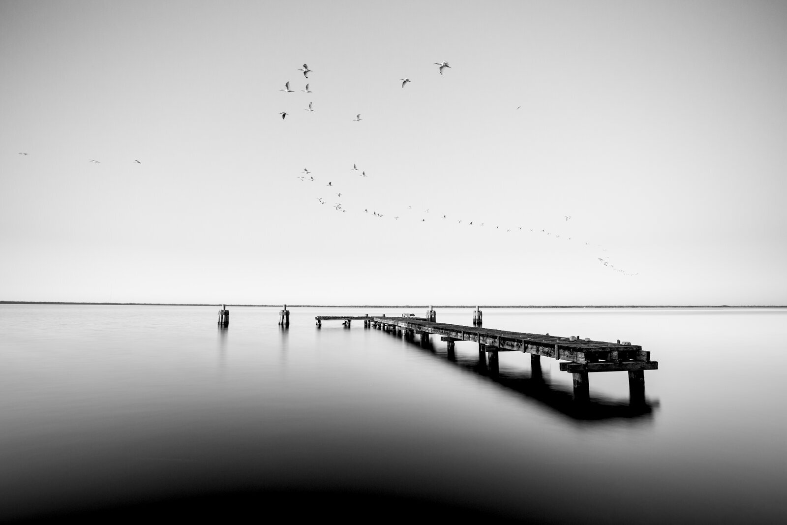 Passing Flight
