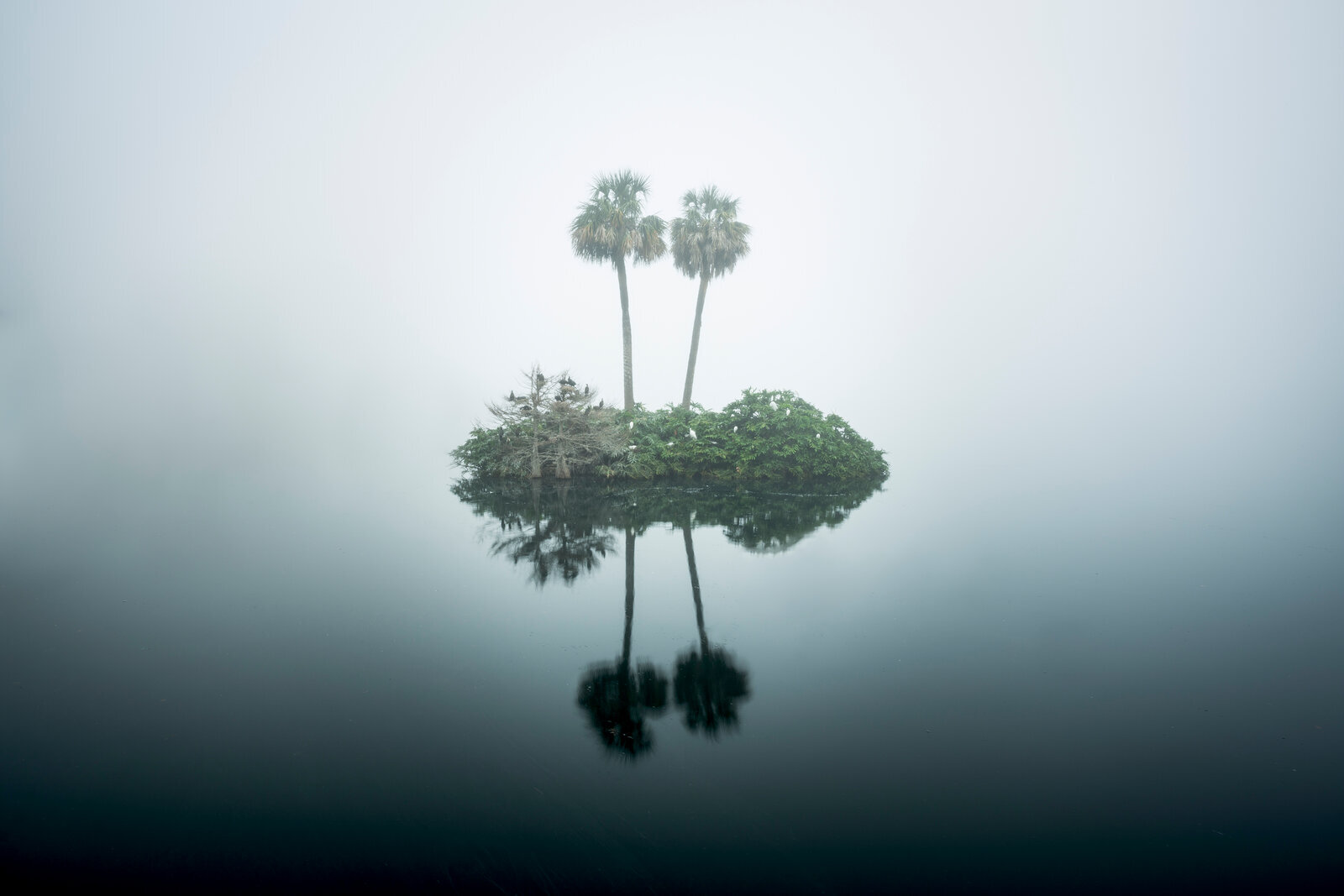 Silent Refuge